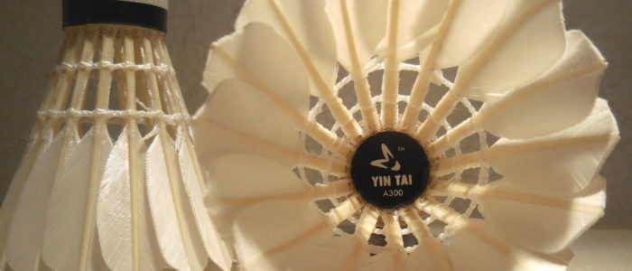volant badminton A300 YinTai shuttlecock feather